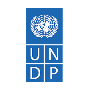 UNDP